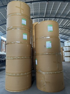 Nhà kho chuyên sản xuất nguyên liệu cho cốc giấy xuất khẩu cuộn giấy tráng PE - Product Image 5