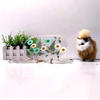 Sous-verre décoratif en acrylique pour tasses à fleurs pressées, sous-verre rond en cristal transparent pour boissons