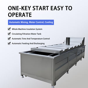 Grüne Bohnen Vollautomatisches Blanchiersystem Kommerzielle Gemüseverarbeitung Kontinuierliche Blanchier- und Kochmaschine 304 - Product Image 2