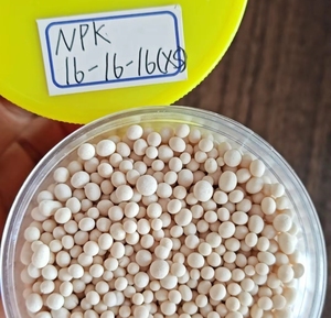 Fertilizzante Composto NPK ad Alta Efficienza Previene l'Invecchiamento delle Colture Dolcifica i Frutti - Product Image 1