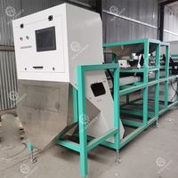 Équipement de tri optique automatique de machine de trieuse de couleur d'ail de haute précision pour des ampoules et des clous de girofle d'ail avec l'utilisation commerciale