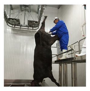 Équipement d'abattage de bétail <span class=keywords><strong>halal</strong></span> de qualité industrielle, personnalisable avec garantie d'un an pour l'utilisation par les boucherons dans l'abattoir - Product Image 2