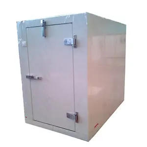 Small Cold Room with Monoblock condensing unit