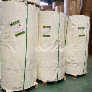 Matériaux de base pour gobelets en papier de bonne qualité, rouleaux de fond de gobelet en papier enduit de PE - Product Image 6