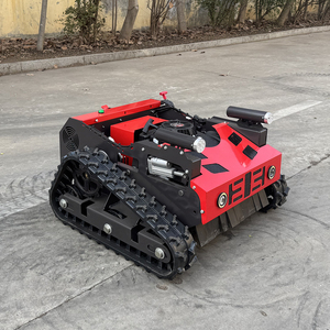 Free Shipping CE EPA Approved Rc Lawn Mower Powerful Gasoline Engine Zero Turn Crawler Lawn Mower for Grass Cutting - Product Image 4