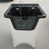 Baignoire de toilettage pour chien en vente chaude avec micro-nano bulles et fonction de bain à remous à l'ozone, baignoire en acrylique autoportante avec drain