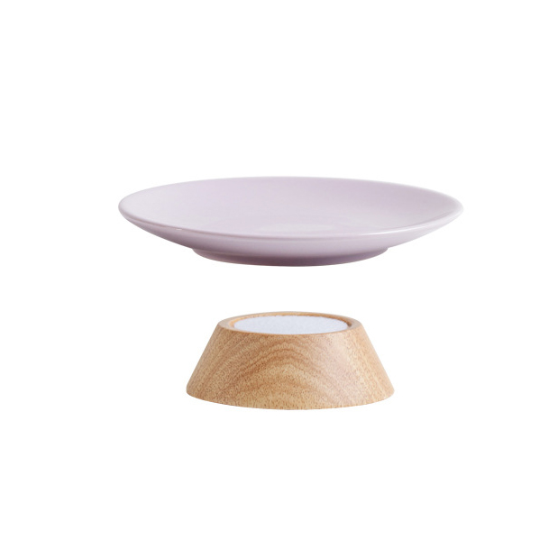 Entaille plate ronde violette peu profonde pieds courts