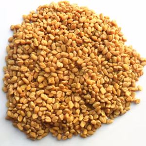 Vendita calda all'ingrosso naturale estratto di semi di fieno greco prezzo a buon mercato <span class=keywords><strong>per</strong></span> puro olio di fieno greco erba secca <span class=keywords><strong>in</strong></span> <span class=keywords><strong>polvere</strong></span> forma <span class=keywords><strong>senape</strong></span> stile crudo - Product Image 5