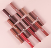 Nouveau design Rouge à lèvres mat Hydratant Facile à colorer Cross-border Stylos à lèvres exclusivement rotatifs Crayon à lèvres mat