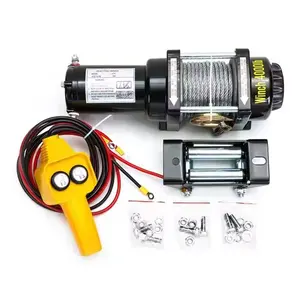 AC DC 12V 24V Mini 2500ibs Electric Wire Rope Capstan Winch For Boat