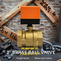 Válvula de bola motorizada eléctrica de latón de 2 pulgadas NPT de 2 vías con control de tres cables, personalizable, AC220V DC12V DC24V, solenoide para medios acuáticos, OEM
