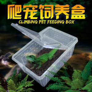 NOMOY <span class=keywords><strong>PET</strong></span> doble apertura hebilla fácil ventilación reptil mascota criando medio caja de alimentación caja de cría para <span class=keywords><strong>reptiles</strong></span> - Product Image 2