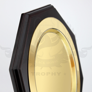 Promoción personalizada recuerdo trofeo escudo - Product Image 3