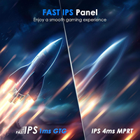 Monitor de Computadora para Juegos de 24.5 Pulgadas FHD 1080P 240Hz, IPS Rápido, 100% sRGB, 1MS, Compatible con Adaptive Sync, Soporte VESA de 75*75mm