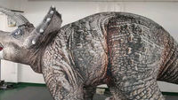 Ballon géant publicitaire imprimé intégral, Dinosaure Brontosaure grandeur nature pour adulte, Dinosaure Triceratops, Couture double aiguille, Garantie 3 ans