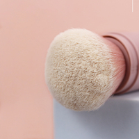 OEM Nouveau Jeu de Pinceaux de Maquillage Unique Swiss Beauty Compact Étui pour Poudre Libre Cheek Blush Fluffy Foundation Blender Cosmetic Brush Set