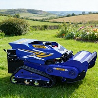 Débroussailleuse tout-terrain télécommandée sur chenilles multifonctionnelle pour zones végétées, machine de coupe et de tondeuse de jardin