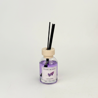 Diffuseur de parfum sans flamme aux huiles essentielles aux saveurs de fruits mélangés 100 ml, personnalisable, aromathérapie pour la maison