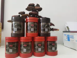 CAFE Nấm Linh Chi Reishi Nấm Cà Phê Đen Hỗ Trợ Miễn Dịch Với Nấm Linh Chi Nấm Linh Chi - Product Image 6