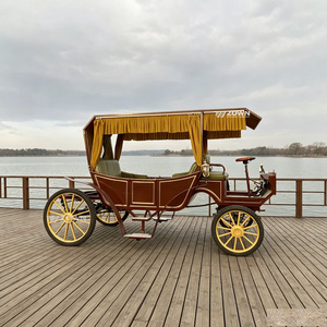 Charrette de luxe ornée tirée par des chevaux, couleur personnalisable, idéale pour les cérémonies de mariage en extérieur et les projets de tourisme panoramique - Product Image 1
