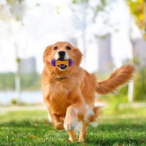 Köpek oyuncaklar üreticileri toptan yavru Molar kauçuk Bite dayanıklı oyuncak köpek bakımı bulmaca oyuncak - Product Image 1