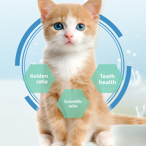 Catnip <span class=keywords><strong>de</strong></span> Gran Capacidad y Más Rentable, 60 Piezas/Caja, Ayuda a los Gatos a Eliminar <span class=keywords><strong>el</strong></span> Pelo, Catnip <span class=keywords><strong>de</strong></span> Pollo Liofilizado, Palitos <span class=keywords><strong>de</strong></span> Hierba para Gatos - Product Image 4