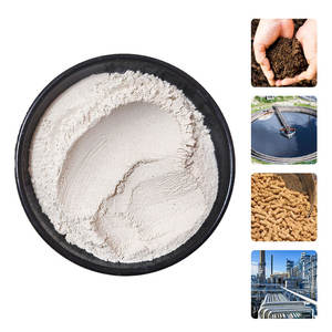 Zeólito Branco Zeólito Clinoptilolite Em Pó Preço, Natural Alta Pureza 99% Nm Tamanho Clinoptilolite Zeólito Em Pó - Product Image 4