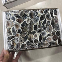 Boîte de géode de graines naturelles de haute qualité, 10 pièces, quartz de guérison, artisanat folk, cadeaux, vente en gros