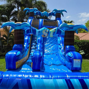 Glissières d'eau gonflables <span class=keywords><strong>de</strong></span> glissière <span class=keywords><strong>de</strong></span> <span class=keywords><strong>piscine</strong></span> <span class=keywords><strong>de</strong></span> qualité marchande <span class=keywords><strong>de</strong></span> ruelle bleue <span class=keywords><strong>de</strong></span> 20ft <span class=keywords><strong>avec</strong></span> la <span class=keywords><strong>piscine</strong></span> pour des enfants - Product Image 3