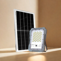Projecteur solaire LED durable IP67 avec détecteur de mouvement pour surveillance extérieure, conception étanche pour jardins et allées