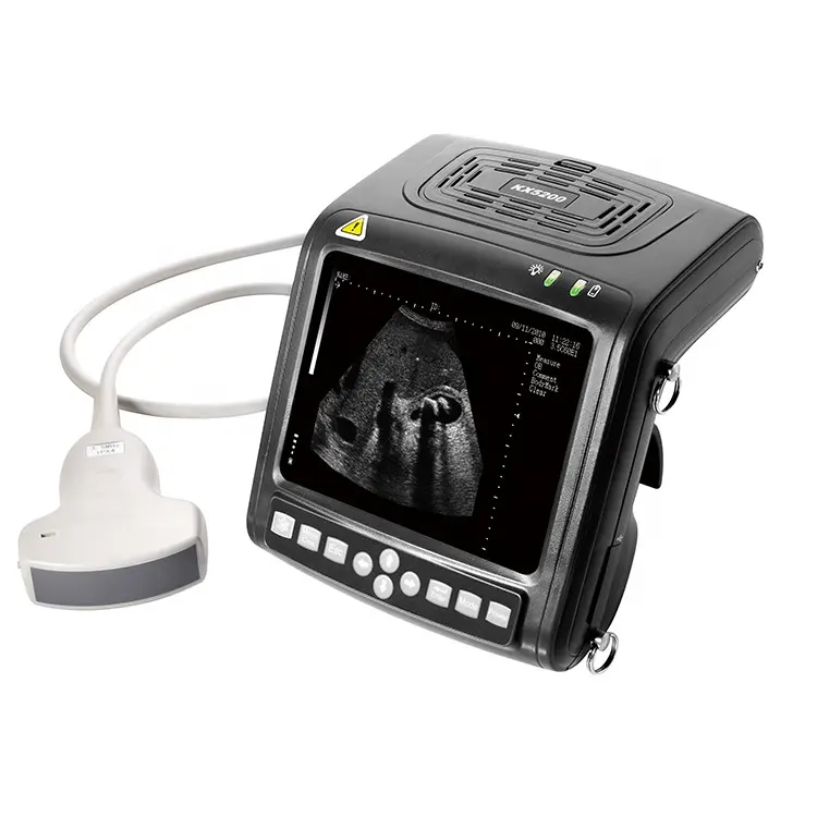KX-5200 Populaire B Modus Dier Veterinaire Ultrasound Draagbare