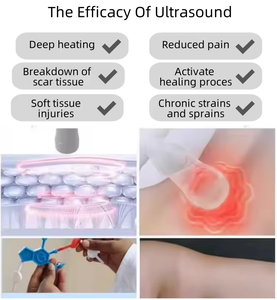 Máquina Portátil de Terapia de Ultrasonido para Alivio del Dolor en Animales, Dispositivo Fisioterapéutico para Reducir la Inflamación - Product Image 3
