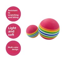 Balle à mâcher en mousse EVA colorée arc-en-ciel pour chat et petit chien