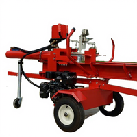 Fendeuse de bois à essence de 42 tonnes, système d'alimentation manuel alimenté par un tracteur, état d'occasion, fermes, fabrication chinoise, moteur de 15 ch, pompe