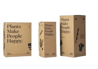 Boîte d'expédition pliable personnalisée pour plantes succulentes vivantes en pot en carton