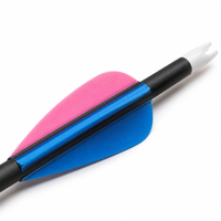 Arc Recurve en Carbone Pur Léger et Durable, Pointe en Acier de 4,2 mm ou 6,2 mm, Personnalisable, pour Chasse et Tir, 31 Pouces