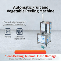 Industriële automatische roestvrijstalen 220V motor fruit- en meloenenschilmachine, elektrische schiller voor pompoen, papaya, pomelo, voedselmachines