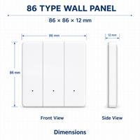 Interrupteur sans fil à piles CR2032, type 86, panneau mural, récepteur AC100-240V, IP44, 2 entrées 2 sorties, fournisseur OEM ODM B2B pour la maison