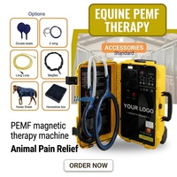 Appareil de physiothérapie magnétique équine PEMF Loop Magna Wave pour la rééducation des chevaux