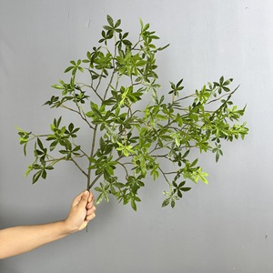 Nouvel Arrivage Artificielle Japonaise Andromeda <span class=keywords><strong>Pieris</strong></span> <span class=keywords><strong>Japonica</strong></span> Tige Verdure Feuilles Latex Real Touch Décoration de boutique de mariage - Product Image 1