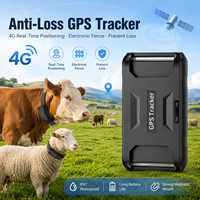 Traceur GPS 4G en temps réel Beidou Tank Two 20000mAh étanche pour le suivi des grands animaux (vaches, chameaux, bovins, moutons) avec application Android