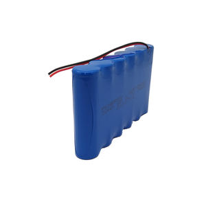 6P1S 18650 lithium-ion 20000 mAh/20Ah <strong>3</strong>,7 V 18560 lithium-ion battery with protection for GPS tracker - Product Image 4