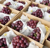 Emballage sans danger pour les fruits et les aliments, matériau de qualité alimentaire disponible, adapté au contact direct avec les aliments