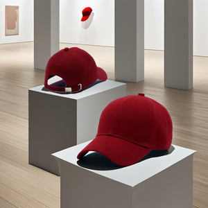 Haute qualité 100% Polyester casquette de Baseball bon prix Snapback Sport casquette imperméable automne extérieur hommes brodé casquette de Baseball - Product Image 3