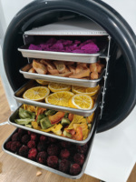 Professionele Commerciële 10Kg Oogst Juiste Voedsel Vriesdroger Droogmachine Voor Thuisgebruik Te Koop