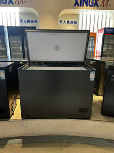 OEM 305L Congelador doméstico Ventas Congelador horizontal barato para helados Lay-Down Refrigerador Freezeand Carne - Product Image 2