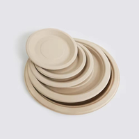 Ensemble de vaisselle jetable moderne de luxe en bambou et plastique biodégradable léger et écologique pour mariage et fête, 200 pièces
