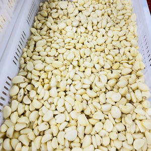 Rótulos Personalizados para Alho Fresco Descascado, Embalado a Vácuo, Grau Restaurante - Product Image 5