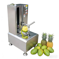 Commerciële appel-peer-kiwi-mango-citroen fruit schilmachine voor mango-ananas