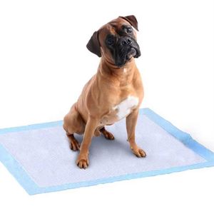 <b>Dog</b> and Puppy Pee Pads With Leak-Proof Quick-Dry Design for <b>Dog</b> and Puppy Premium Disposable <b>Training</b> Pads - Product Image 5